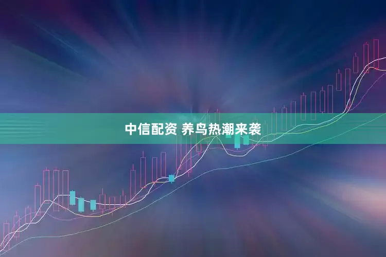 中信配资 养鸟热潮来袭